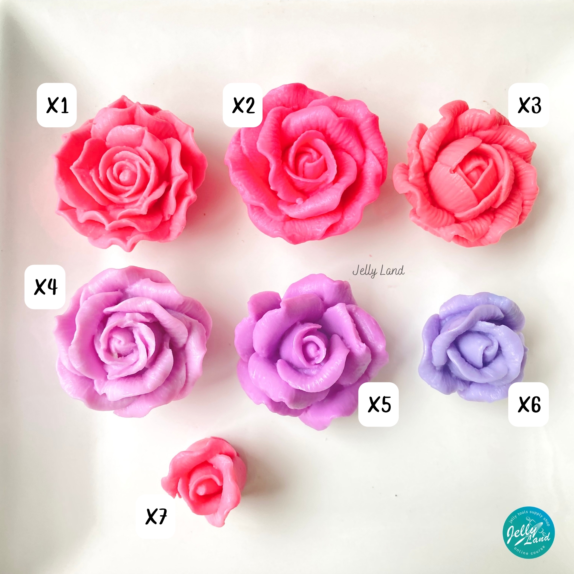 X4 - Image 5