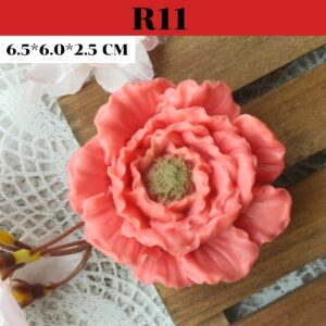 R11