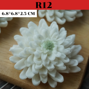R12