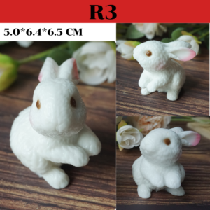 R3