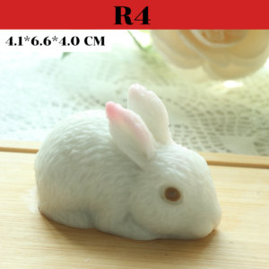 R4