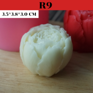 R9